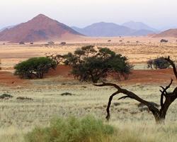 Einzigartige Wüstenlandschaften in Namibia